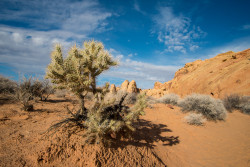 reddlr-earthporn:  Went to Vegas, promptly left Vegas for Valley