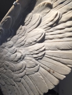 sgtpeppersofab:  Marble wings, Palatine Museum. 