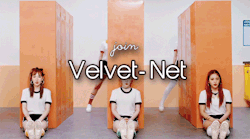 velvet-net: VELVET-NET Hello everyone! This is a network dedicated to SM’s girl group RED VELVET. This network was created to share your creations (gifs, edits, graphics, and more) with other red velvet fans.    rules; You must be following velvet-net