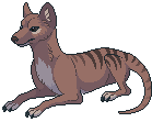 Thylacine Dreams