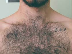 noctaloneae:“Lo que hay es lo que ves” #hairyman #hairygay