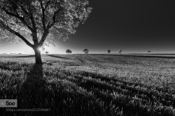 photografiae:  Rural landscapes - Beyond eclipsee by mglinnemann