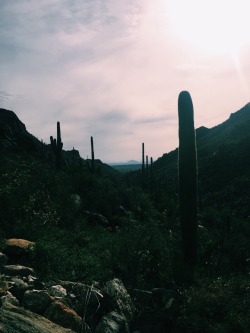 miss-mescudi:  Took a lovely hike yesterday, none of ya’ll
