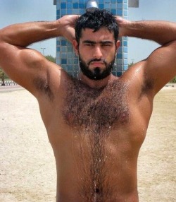 bearpitpig:  #HairyPits #Armpits #Bear #Pits #MuscleBear #Hairy