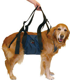 d0gbl0g:  tokyoghettopuppy:  [over the shoulder dog sling]  over