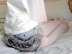 : “Just to be clear, I like pics of tails. http://t.co/VQaKyqzcAI”twitter.com