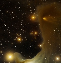 thedemon-hauntedworld:  Ghost Nebula, vdB 141 This image was