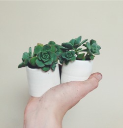 juliatrybala:  Tiny pots made in pottery class / succulents stolen