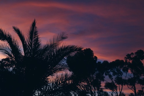 lumiant: I think my favourite thing to capture photographs of is the sky, and the sunset. When the clouds turn all whispy and golden purple colours, and the trees create silhouettes. It’s just perfect.