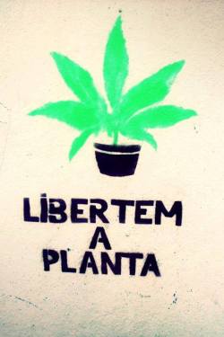 o universo é público 