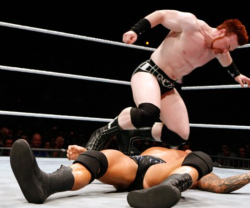 rwfan11:  Orton crotch shot! ….see that bit of cheek too! LMAO!