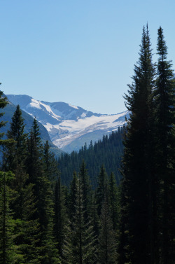 brutalgeneration:  Jackson Glacier. (by gabriel amadeus)