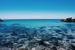 lagoon-bliss:  Secret beach in Dunsborough 