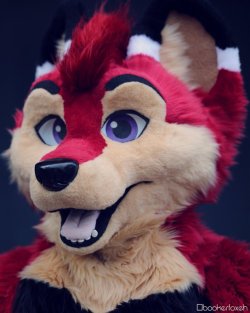 fursuitpursuits:RT @BookerFoxeh: Come on, how can you not like