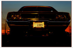 hotrufftrade:  theoldiebutgoodie:  1968 Dodge Charger R/T - 6989