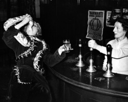 Circus performer Millie Kayes swallowing the head of a 12ft python