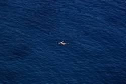 slanting:  A fine day for a float in the Aegean sea: A German