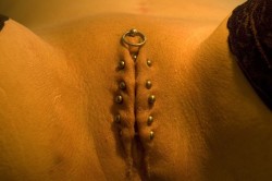 pussymodsgaloreShe has a VCH piercing with a barbell incorporating