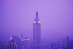 travelingcolors:  Purple New York City | New York (by Lillian)