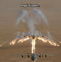 funnyandhilarious:  Spreading Its Wings »