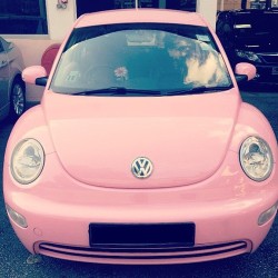 aleygreenblo:  http://tickledpink.alphie-eve.com