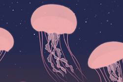 alyssascottart:  Jellyfish *refresh the page if not in sync*