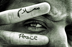 martamontanyo:   “lo decisivo para traer paz al mundo es vuestra