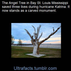 ultrafacts:    BAY ST. LOUIS, MISS. | It’s called the “Angel