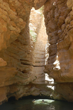 visitheworld:  Hidden swimming spot in Wadi Hasa Canyon / Jordan