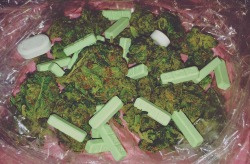 kleopxtra:  notyourbabygrl:  20 xanax bars, 2 perc 7.5s &