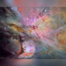 Dust, Gas, and Stars in the Orion Nebula #nasa #apod #esa #hla