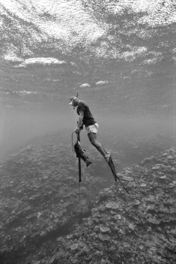 airows:  (via Amazing Black & White Free Diving Photos By