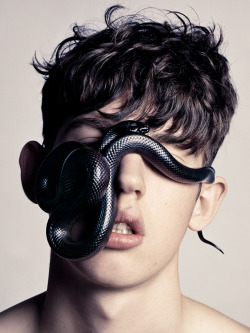 taur: Snakes Series By Jean Francois Carly 