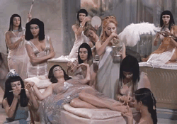 aphroditeinfurs:Cleopatra (1963)