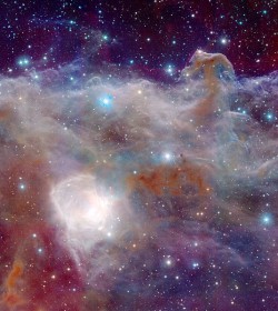 endllesssky:  The Horsehead Nebula in the constellation of Orion