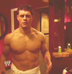 yougottalovewwe:  Cody Rhodes’ Body 