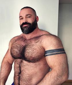 bigmalepecs:  Wolf Deutschland  Wolf is a WOOF - Physically awesome