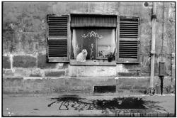  Henri Cartier-Bresson FRANCE. Paris suburbs. 1955. 