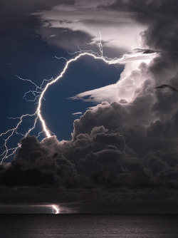 opticallyaroused:  Shock Therapy 
