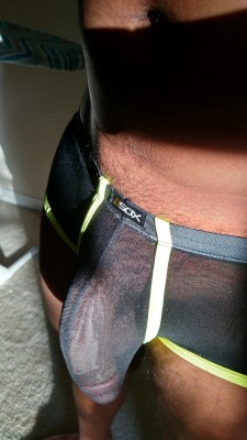 bulge-is-life:  I really like these shorts from Amazon, should