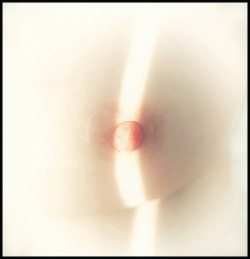 soie–noire: No nipples…. S.N. Edited @ricemanposts 