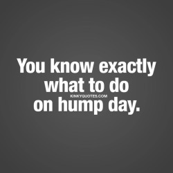 kinkyquotes:  You know exactly what to do on #humpday 👉 (hump