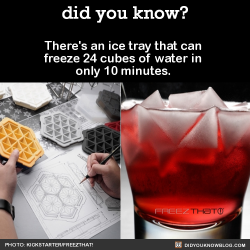 did-you-kno:  There’s an ice tray that can  freeze 24 cubes