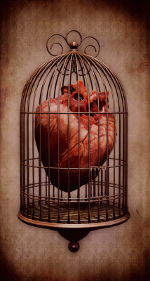 goth-doll:  Leave the cage open. If you love someone, give them