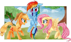 mylittlefanart:  Appledash or Flutterdash? by Zorbitas    Flutterdash