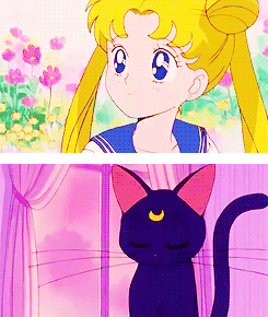 keybladesoras:  Sailor Moon (1992) - Sailor Moon Crystal (2014)