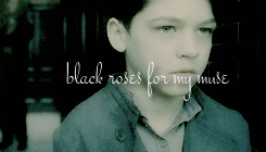 morefelton:  Black roses for my muse it’s life or death, you