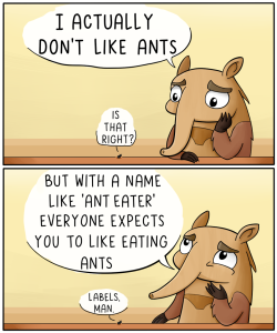 theodd1sout:    An anteater’s got to do what an anteater’s