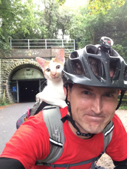 stability:  “When I stopped cycling this cat came out of