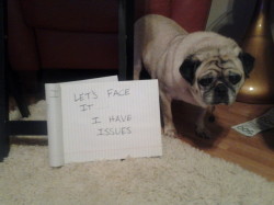 dogshaming:  I Only Look Pathetic  I hide instead of going outside.